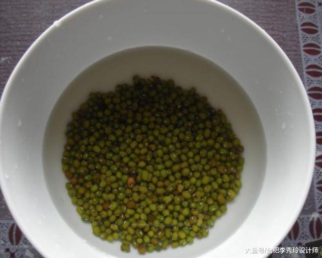 拿塑料瓶種綠豆芽，根本不是技術活！3天長一大茬，成本不到2塊錢