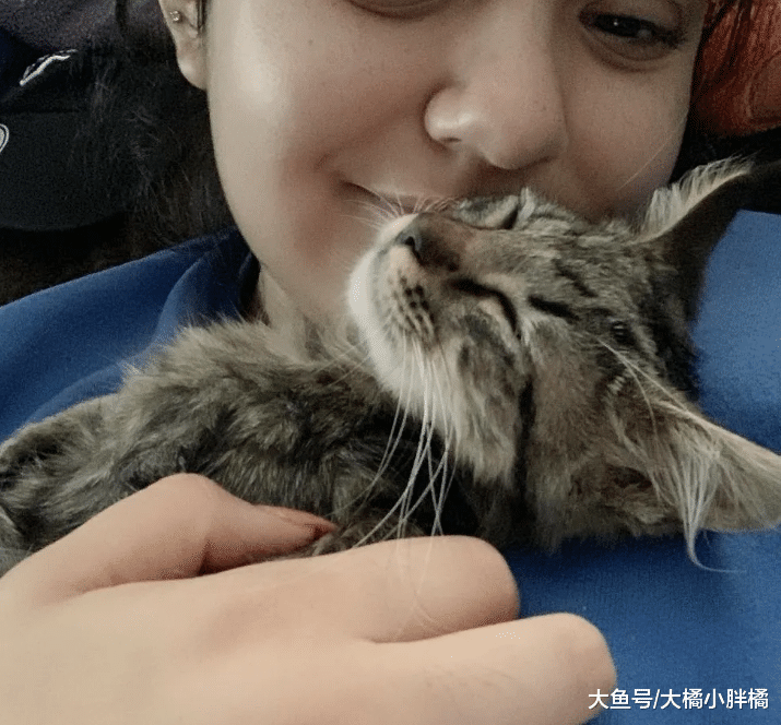 小猫主动吸引女孩注意，旁边狗子吼叫挑衅，被收养后跟狗子杠上了