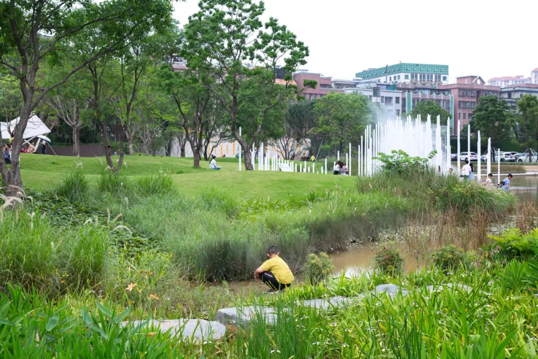 张唐又一新作 | 大鱼公园 Dory Park