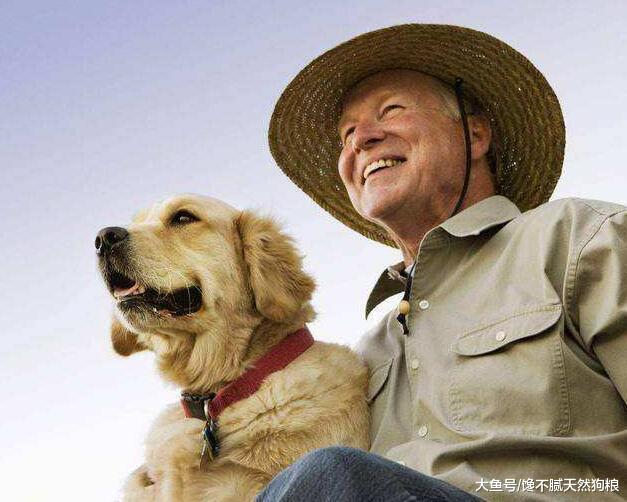 狗狗在生病前，都是从“不吃”开始，这5种情况是在提醒你