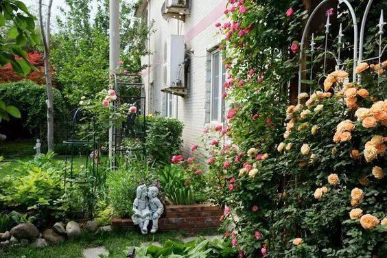 别墅后院的小花园