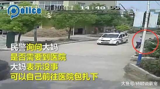 警察小哥扶倒地阿姨反被讹，自证清白，阿姨讹人不成，又想鬼点子