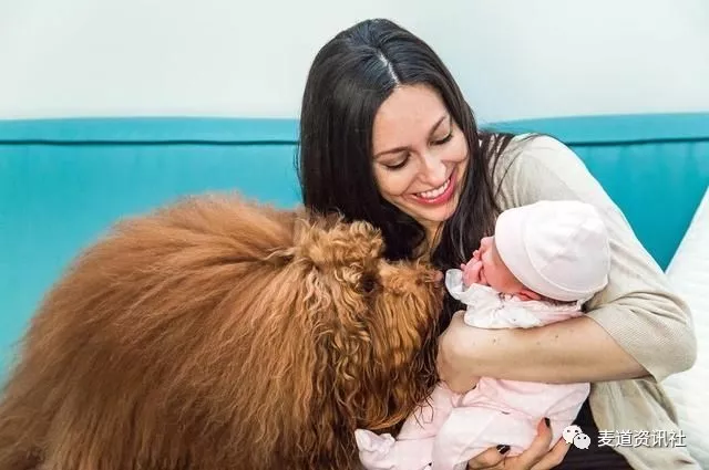 2岁娃半夜哭闹，狗狗第一个发现，立刻跑进房陪到她重新睡着