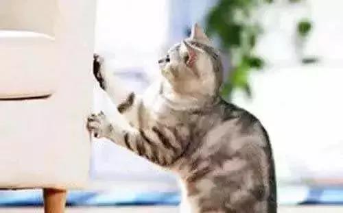 这里的山路十八弯！在装修这事上我被坑的头破血流！总结15个教训