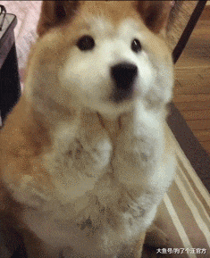 挨妈妈骂的你，内心毫无波动，甚至还想略略略