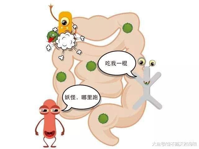 日常中最“危险”的5种狗，哈士奇也上榜，你养过几只呢？