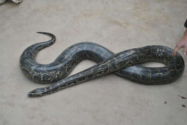 小哥半路行驶遭毒物攻击，幸运躲过，回到家心情都难以平复