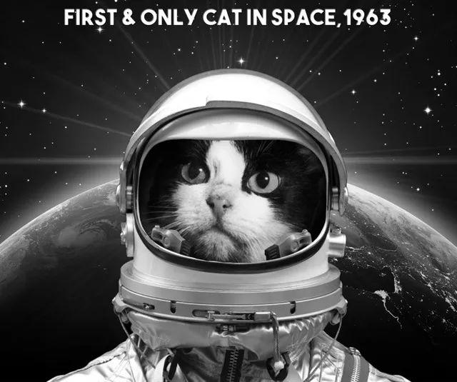 是谁在太空留下了第一个猫爪印?