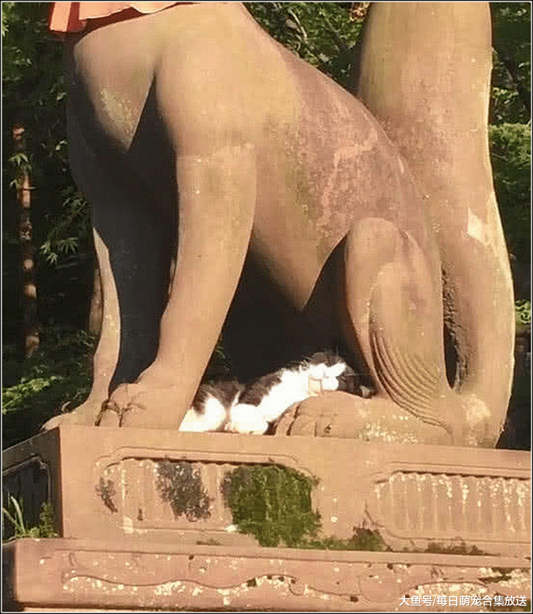 男子逛公园，发现路人都盯着雕像看，好奇走近一看直接傻眼了