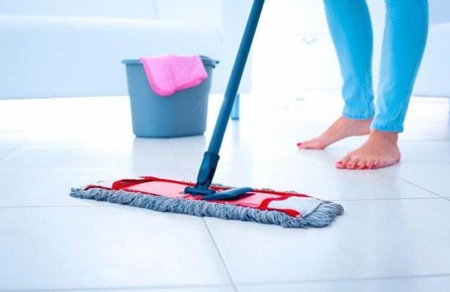 家里又腥又臭? 教你5招, 改善满屋的“尿骚味”, 简单有效!