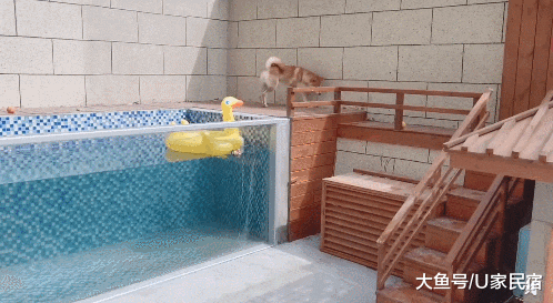 U+推荐 | 豪华狗窝：中式泳池豪宅、田园风情别墅、三层跳台别墅，人看了都想住