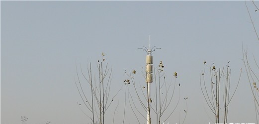 高铁上不再“失联”！鲁南高铁为全国首批5G网络全覆盖的新建铁路