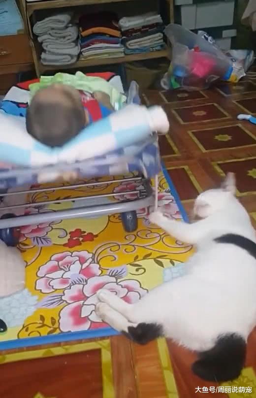 孩子睡觉时猫总跟过去，主人不放心过去看了一眼，却看到了这幕！