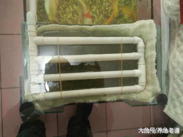 硝化细菌不是鱼缸水质和观赏鱼状态的唯一形象代言人!