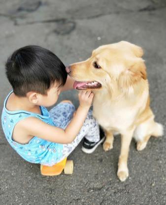 狗狗身上粘住鬼针草，主人正要训斥，儿子站出来帮忙