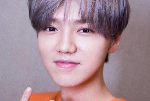 韩国人眼中公认的中国5位帅哥，鹿晗漫撕脸，图4没想到是他