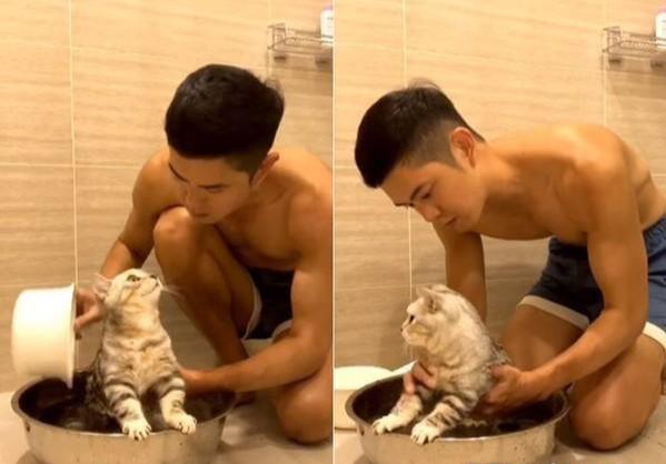 鲜肉主人亲自帮猫咪洗澡，猫萌人帅，为什么负责拍照的人不是我