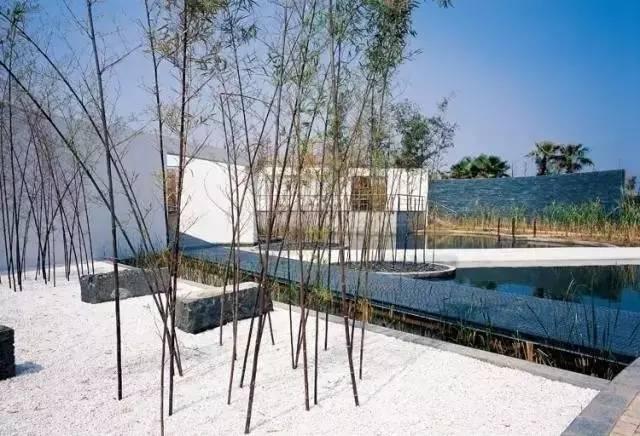 中式院子，一砖一瓦都极具讲究，真是美到骨子里