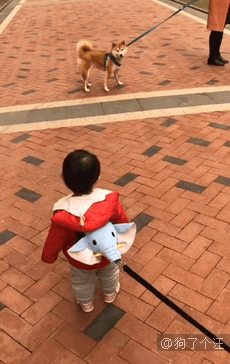 新晋两位奥斯卡影帝得主