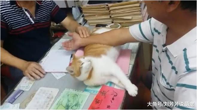 男子去找老中医看病，却被这个“把脉枕”吸引，顿时被萌了一脸