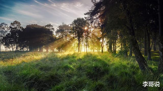 心烦的时候，可以看看这段话