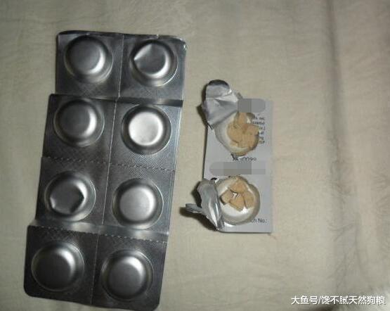 狗狗驱虫讲究多, 5大驱虫误区劝你别犯!