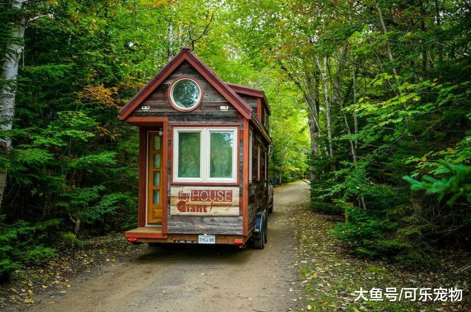带着狗周游世界，还手工打造了“移动房屋”，这是多少人的梦想？