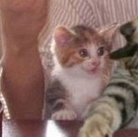 天下最容易满足的就是吃货了吧