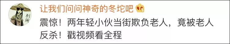 喵星人究竟有多厉害？大战土狼，大战灰熊，将蛇当成逗猫棒