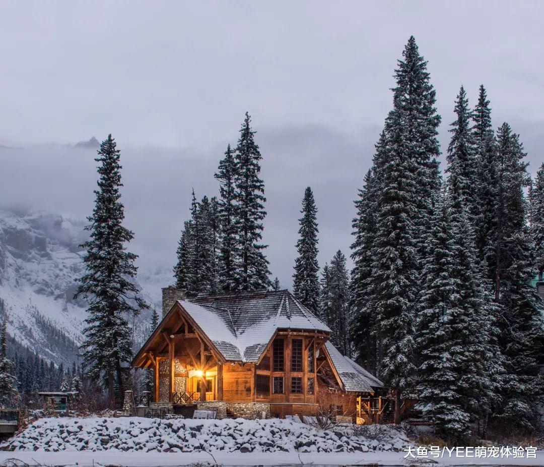 鱼缸过冬神奇，不锈钢加热棒强劲稳定