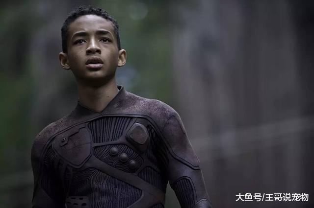 他因父亲出名，和成龙合作，如今21岁却满头黄发！