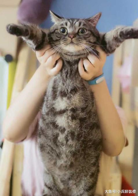 晒晒我20平的出租房，空荡大白墙，改造之后，隔壁小伙怀疑敲错门