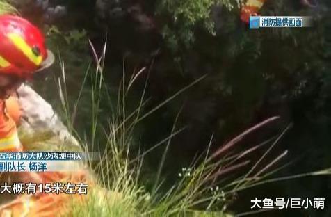 警犬训练掉洞里，民警无奈打119救助，狗狗上来后趴怀里求安慰