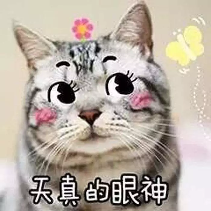 猫咪看你的眼神难以捉摸？可能它只是色弱加近视……