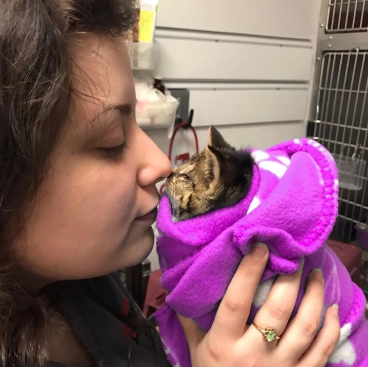 小猫因失去一只眼睛而被母猫抛弃，女子像“袋鼠妈妈”一样关爱它