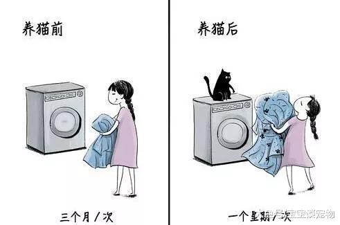养猫前VS养猫后，要不要这么贴切