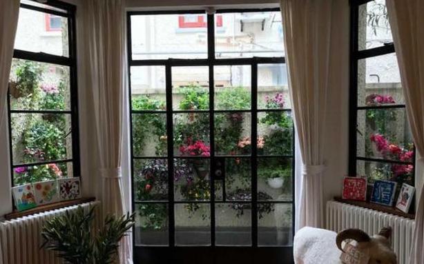 参观吕燕在法国的豪宅，花园外面种满各种植物，环境还真是好啊