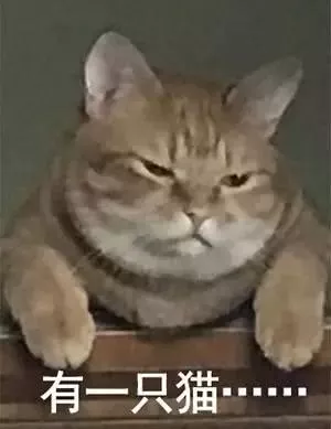 主人晚了回家喂猫，一进门就感受到事态严重…