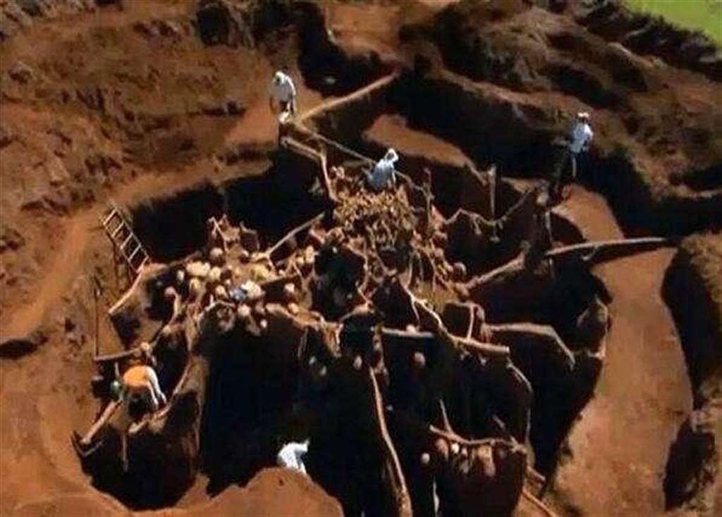全球最大蚁穴曝光! 耗费10年, 地下王国四通八达, 建有育儿、储藏室