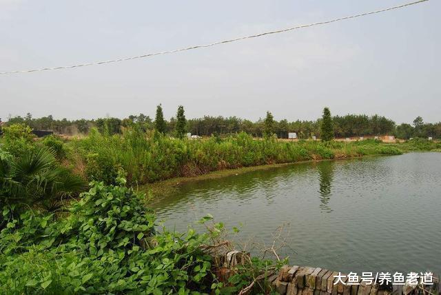 千年的草籽萬年魚籽，為什么自然環境下的水塘里會有魚？