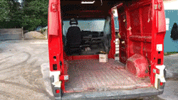 流浪猫私自闯上车被赶出，最后居然搭上顺风车，环游全欧洲