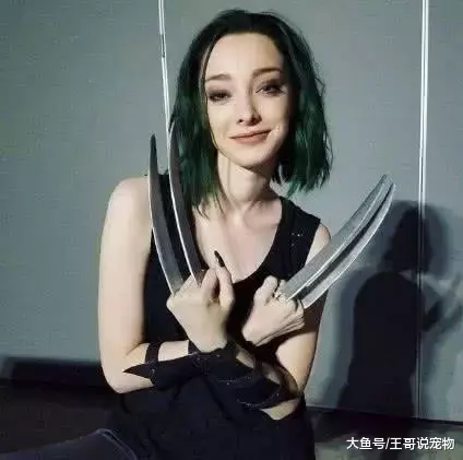 漫威电影五大女英雄排行, 寡姐只能靠身材垫底, 榜首让你意想不到