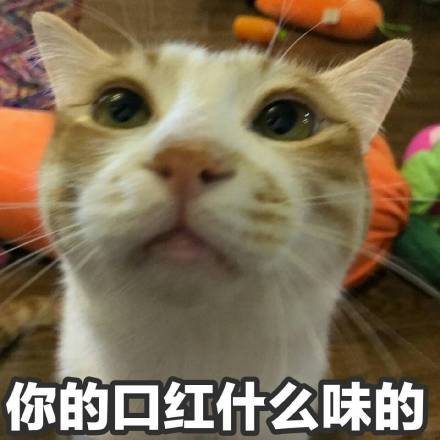 偷擦口红的宠物们，想变漂亮就直说嘛，何必这样呢