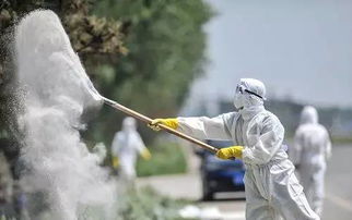 夏天鹦鹉身上长虫怎么办？简单驱虫在家自己也能做，新手不得不看