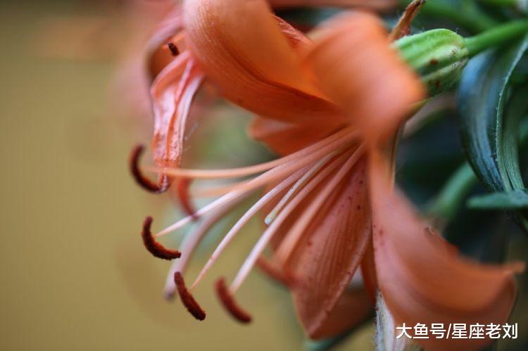 10月份财运上涨，天降财富，有机会咸鱼大翻身的3大生肖！