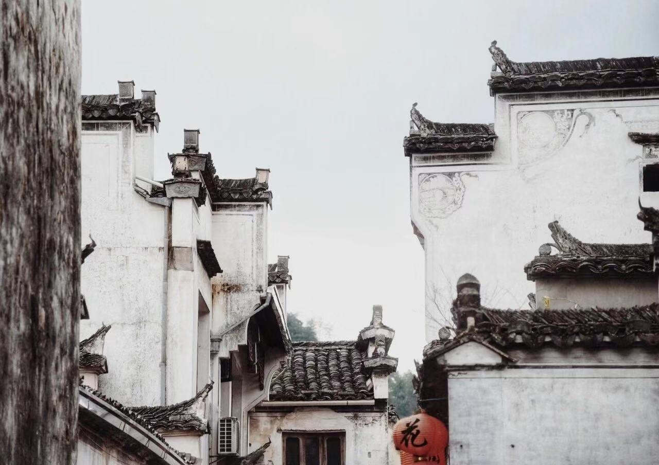 上海社保五年限购解禁的第一批，现在都怎么样了