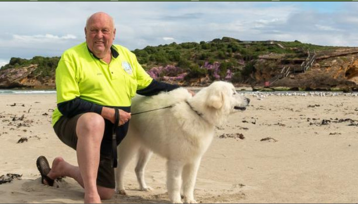 这只狗狗在一座岛上保护了企鹅近十年！年迈的它如今光荣退休