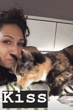 流浪猫私自闯上车被赶出，最后居然搭上顺风车，环游全欧洲