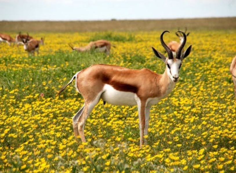 “小主人，祝你平安出生哦！”幸福是什么？平凡的宁静就是幸福