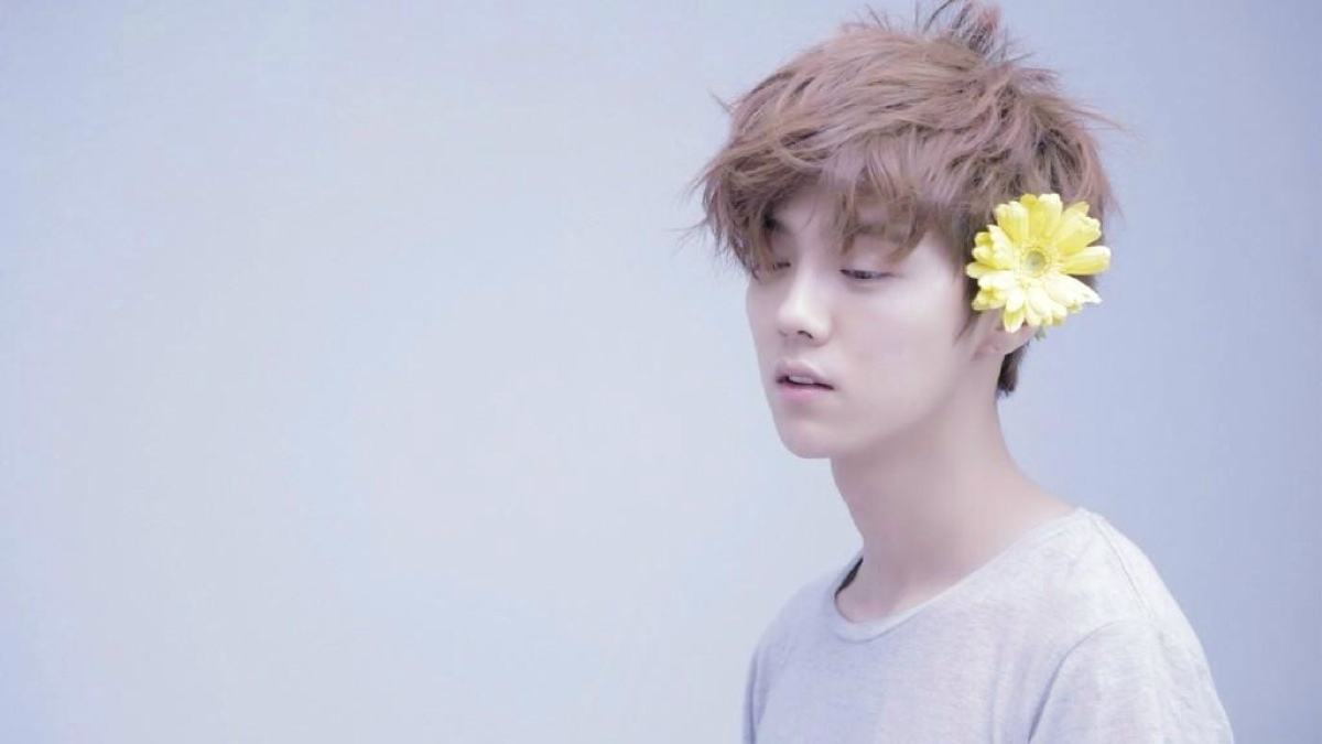 前顶级流量鹿晗转型成功 偶像公布恋情的第一人 人品才华颜值他都有